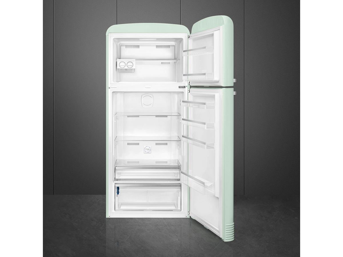 Freestanding refrigerator FAB50RPG5